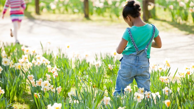 Springtime with the National Trust